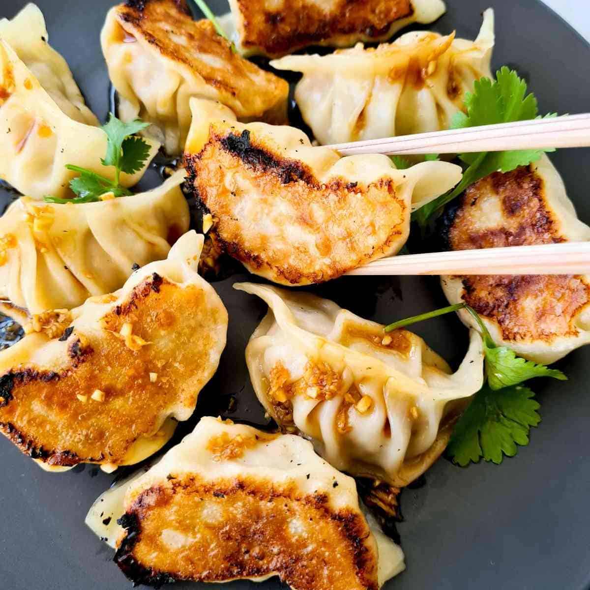Fried Dumplings